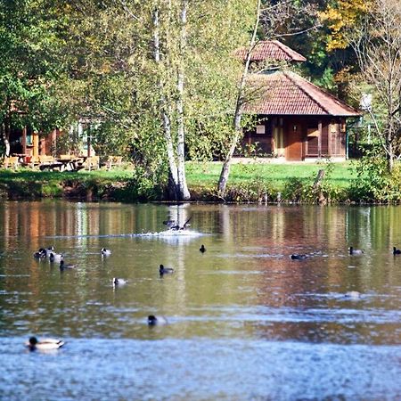 Seen- Und Felsenland Ludwigswinkel Zewnętrze zdjęcie