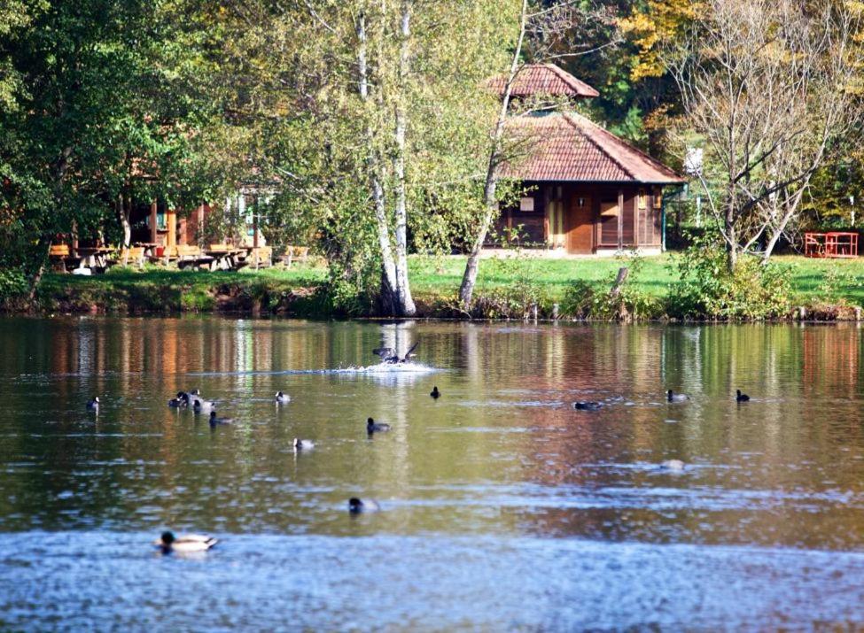 Seen- Und Felsenland Ludwigswinkel Zewnętrze zdjęcie
